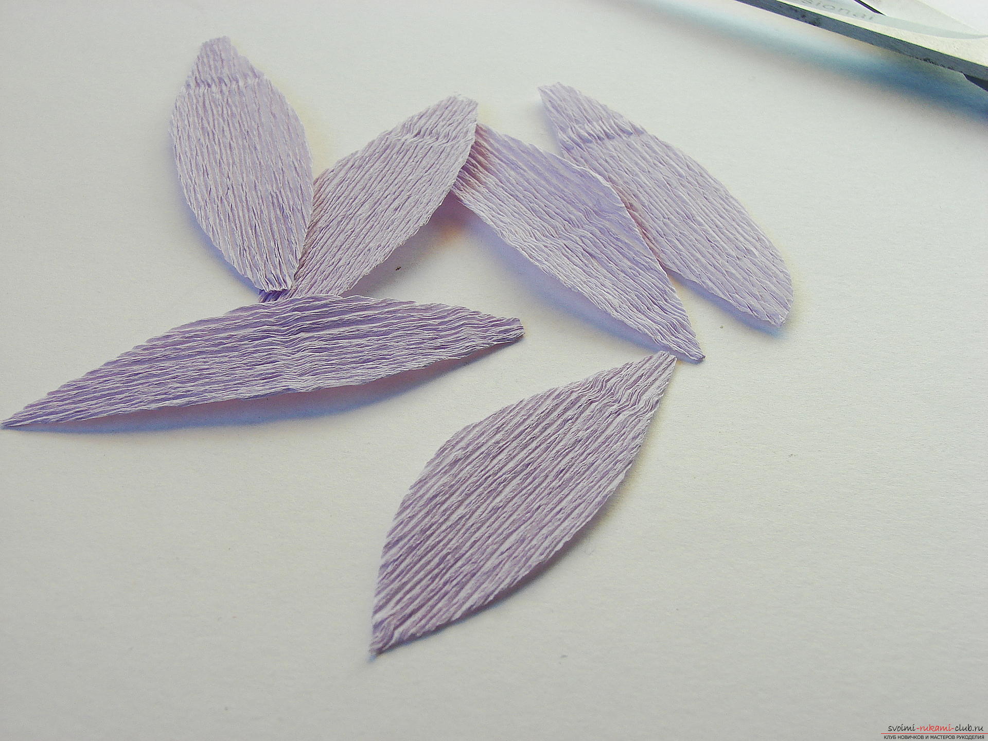 Мастер-класс научит как сделать гофрированные цветы своими руками – лилии из гофрированной бумаги.. Фото №5